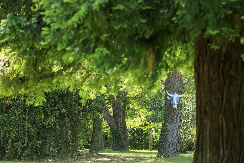 Les Gites Du Domaine De Rhodes Avignon Exteriör bild