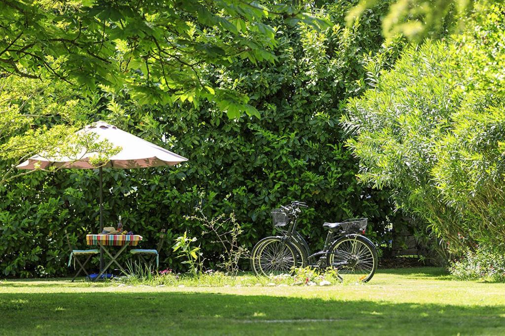 Les Gites Du Domaine De Rhodes Avignon Exteriör bild