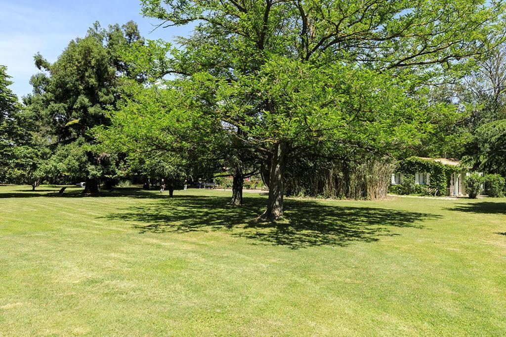 Les Gites Du Domaine De Rhodes Avignon Exteriör bild