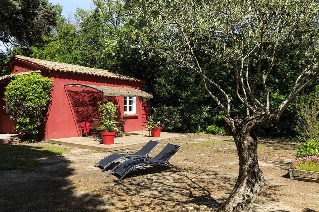 Les Gites Du Domaine De Rhodes Avignon Exteriör bild