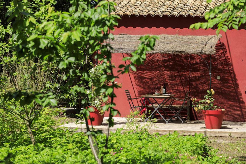 Les Gites Du Domaine De Rhodes Avignon Rum bild