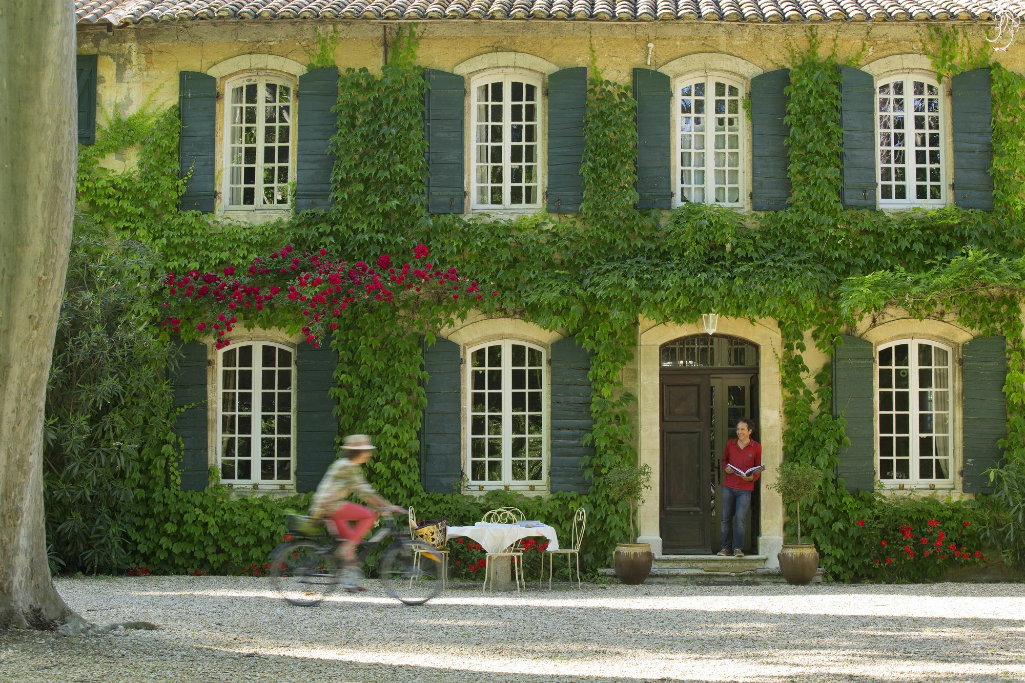 Les Gites Du Domaine De Rhodes Avignon Exteriör bild