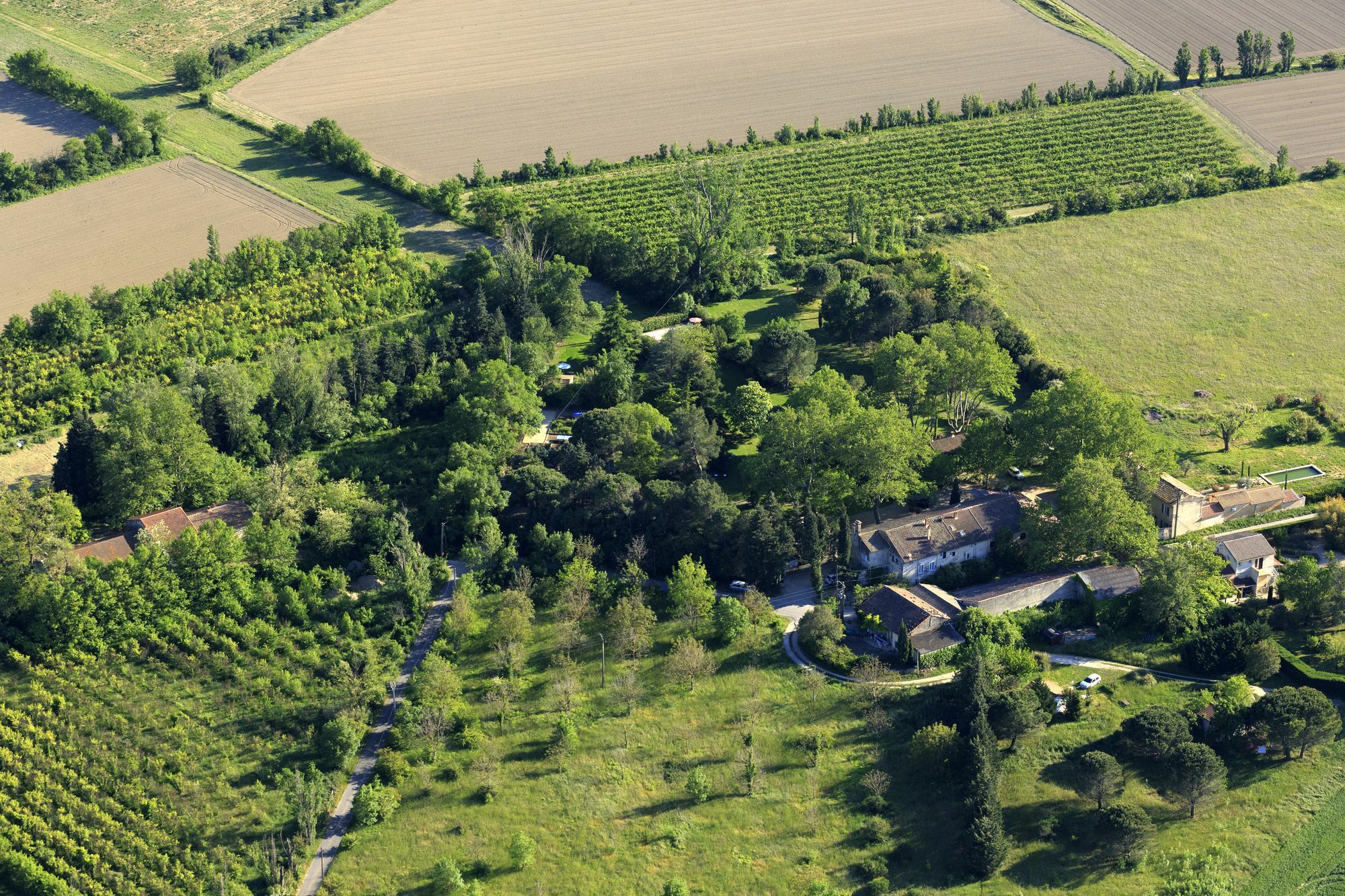 Les Gites Du Domaine De Rhodes Avignon Exteriör bild