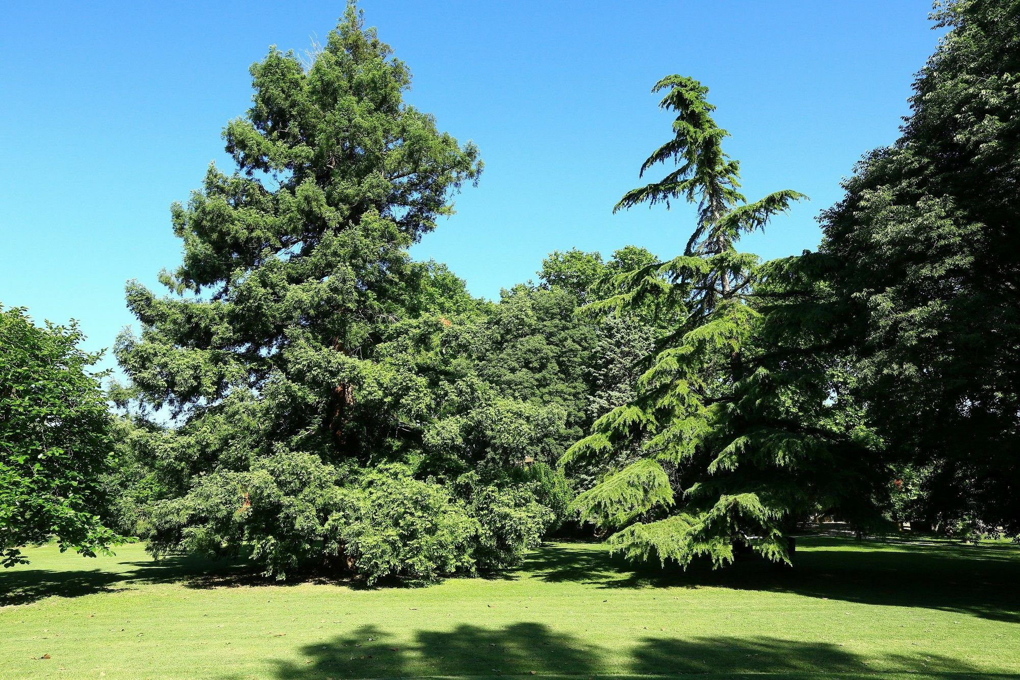 Les Gites Du Domaine De Rhodes Avignon Exteriör bild